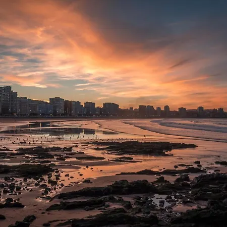 El Harapan, Refugiate En Una Selva A Pie De Playa *